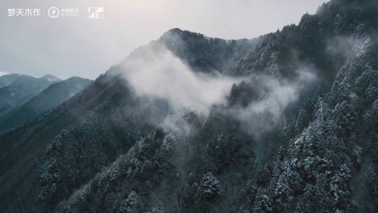 bb贝博艾弗森 静奢系列